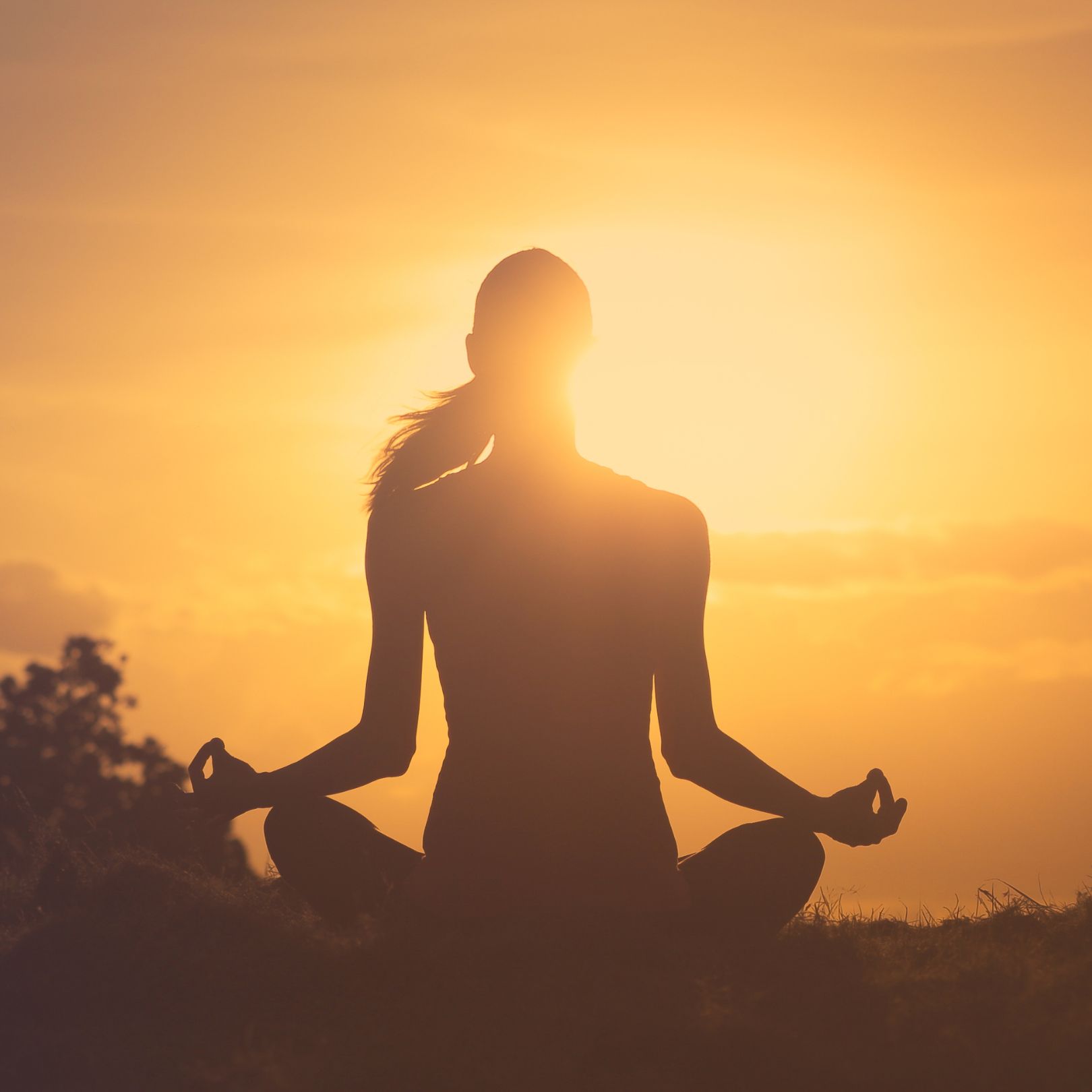 Méditation guidée puissante - Terre, coeur, soleil Cette méditation devrait faire partie d'une pratique régulière. Elle aide à nous centrer, à gagner en présence, fermeté intérieure, clarté et alignement, en plus d'offrir un nettoyage Méditation guidée puissante - Terre, coeur, soleil