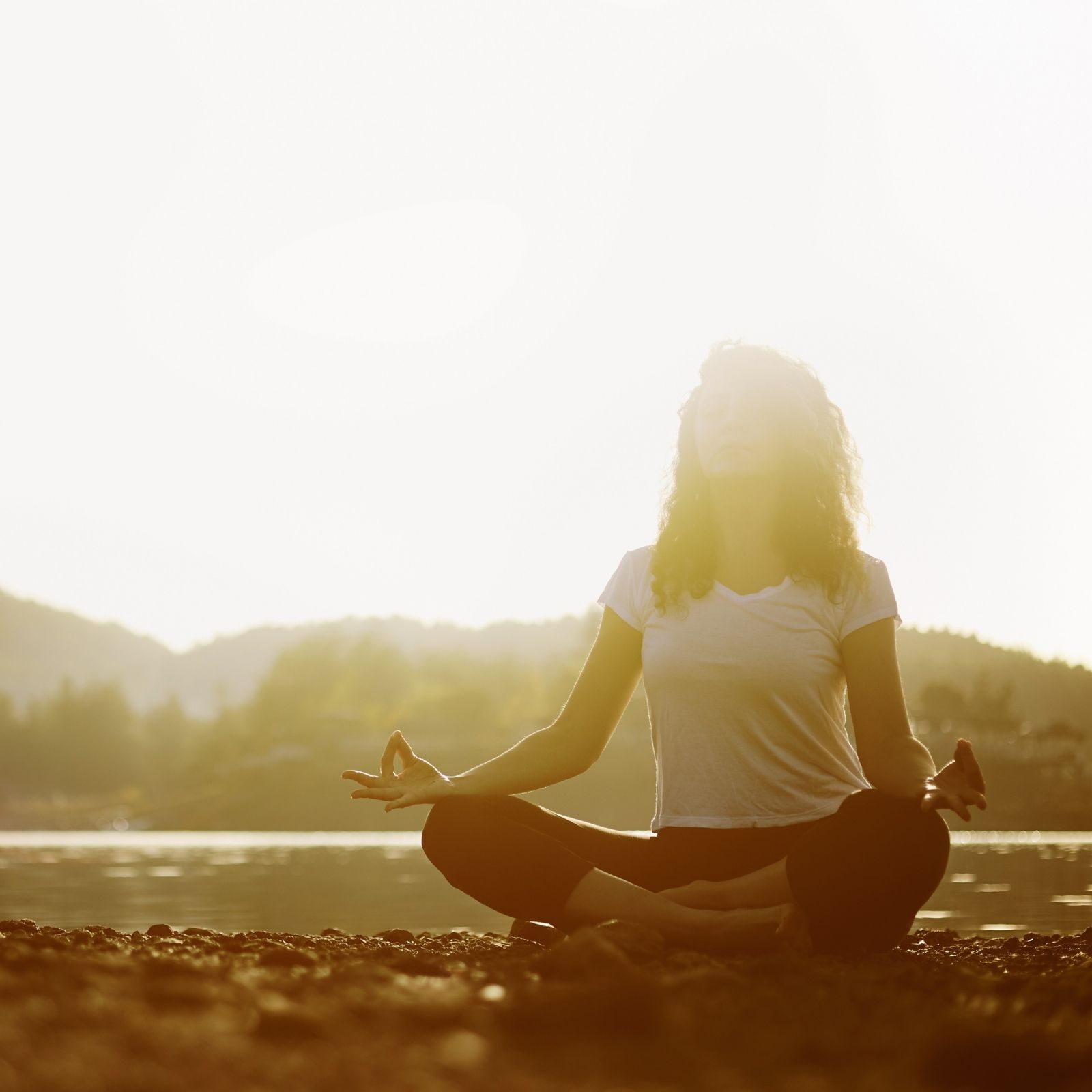 Méditation de l'amour bienveillant Cette méditation devrait faire partie d'une pratique régulière. Elle aide à nous centrer, à gagner en présence, fermeté intérieure, clarté et alignement, en plus d'offrir un nettoyage Méditation guidée puissante - Terre, coeur, soleil